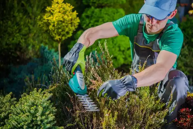 landscaping services Bayou Goula